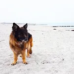 5 Sterne Kroonkieker - Sauna, Fitness, Ostseestrand
