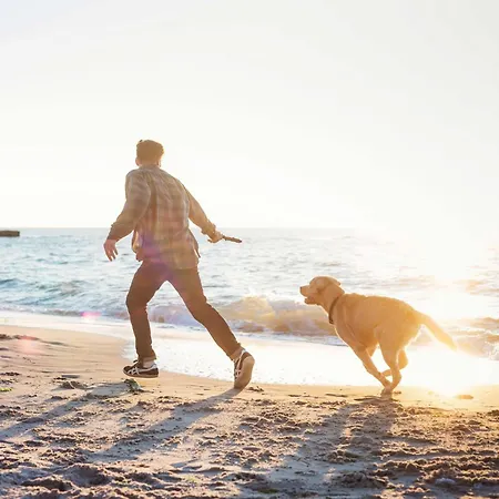 5 Sterne Kroonkieker - Sauna, Fitness, Ostseestrand * 부스트로우